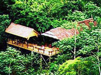 duPlooy's Jungle Lodge