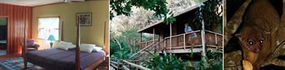 duPlooy's Jungle Lodge, Cayo District Belize