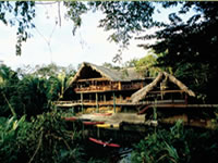 Hotel Jungle Camp