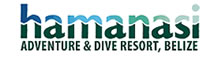 Logo Hamanasi Adventure and Dive Resort