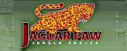 Logo Jaguar Paw