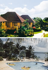 Hotel Banana Palms