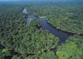 Tortuguero Canal - Costa Rica