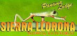Hotel Sierra Llorona Jungle Lodge